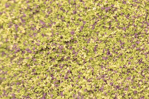Load image into Gallery viewer, Green Scene FINE Scatter Material (Full Size Packs - 37 Shades)
