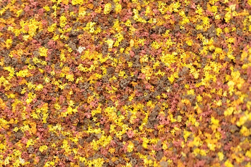 Green Scene COARSE Scatter Material (Full Size Packs - 30 Shades)