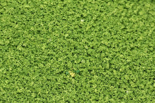 Load image into Gallery viewer, Green Scene COARSE Scatter Material (Full Size Packs - 30 Shades)
