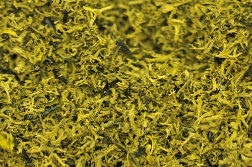 Load image into Gallery viewer, Green Scene GS306 Green Bracken (Shredded Lichen)
