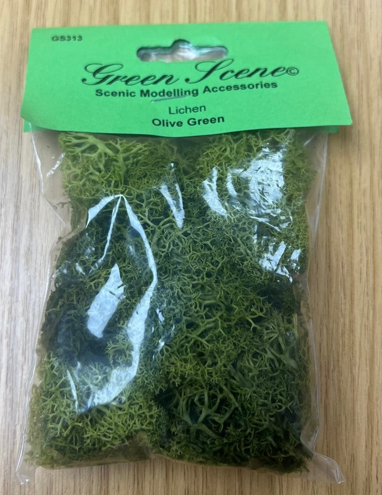 Load image into Gallery viewer, Green Scene Natural LICHEN
