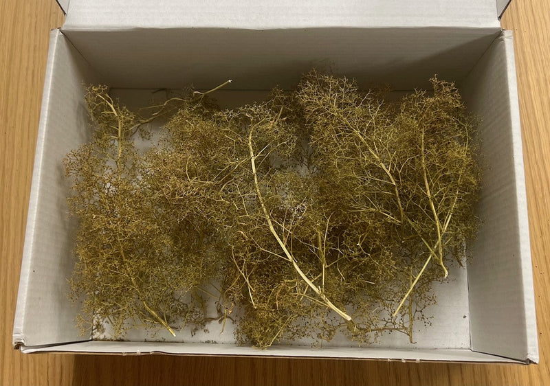 Load image into Gallery viewer, Green Scene GS341  Sea Foam FOREST TREES IN A BOX  (Sm, Med &amp; Lg)
