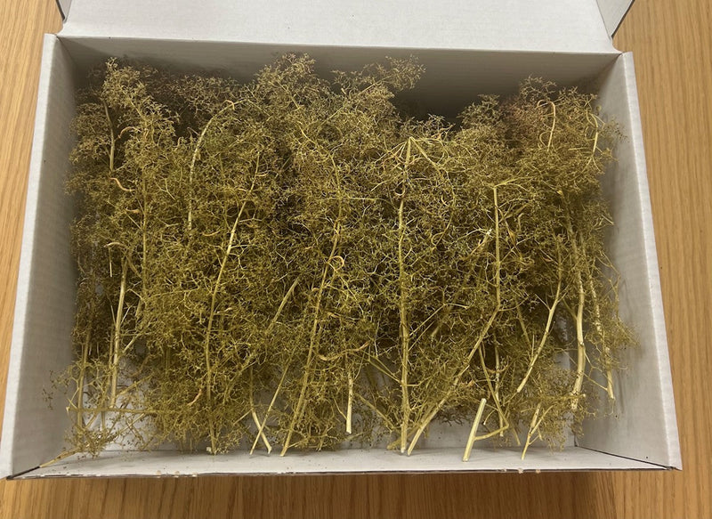 Load image into Gallery viewer, Green Scene GS341  Sea Foam FOREST TREES IN A BOX  (Sm, Med &amp; Lg)
