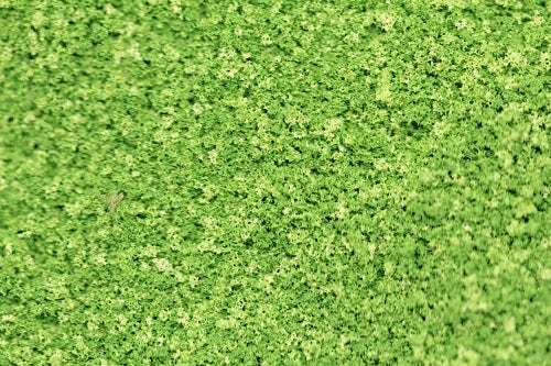 The Green Scene Collection - FINE Scatter Material (Full Size Packs - 9 Shades)