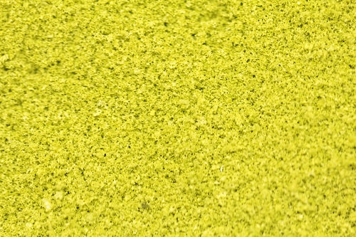 Load image into Gallery viewer, The Green Scene Collection - FINE Scatter Material (Full Size Packs - 9 Shades)
