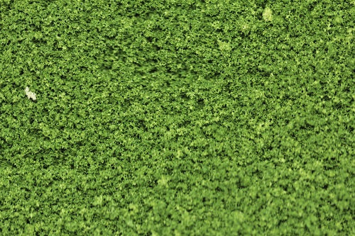 Load image into Gallery viewer, The Green Scene Collection - FINE Scatter Material (Full Size Packs - 9 Shades)
